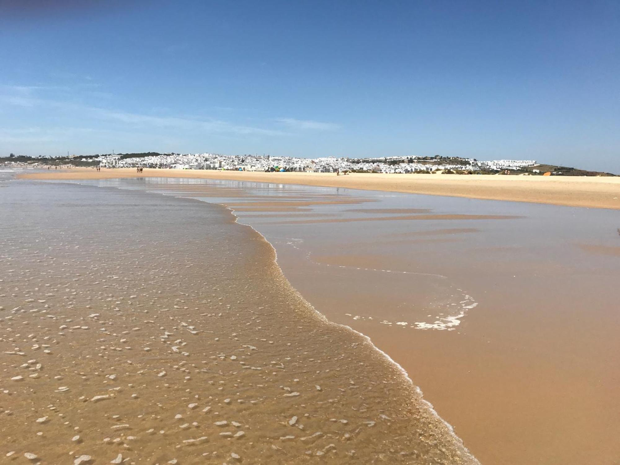 Apartment Alamar Bonito A 70 Metros De La Playa Wifi Gratis Conil De La Frontera